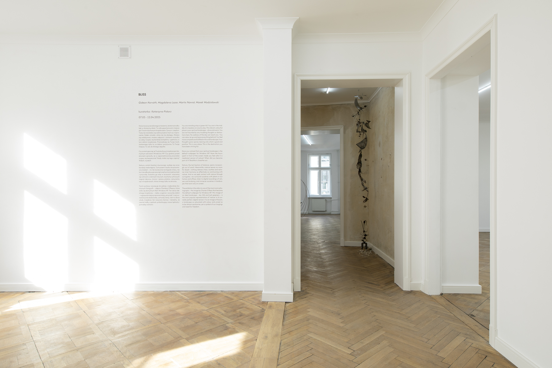 bliss_gallery_Magdalena_Lazar_Marek_Wodzislawski_Gideon_Horvath_Martix_Navrot_04